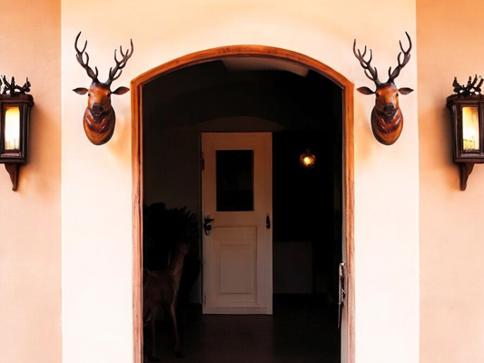 Barasingha Deer Head Wall Hanging Showpiece | Set of 2 | 18”Inch Each